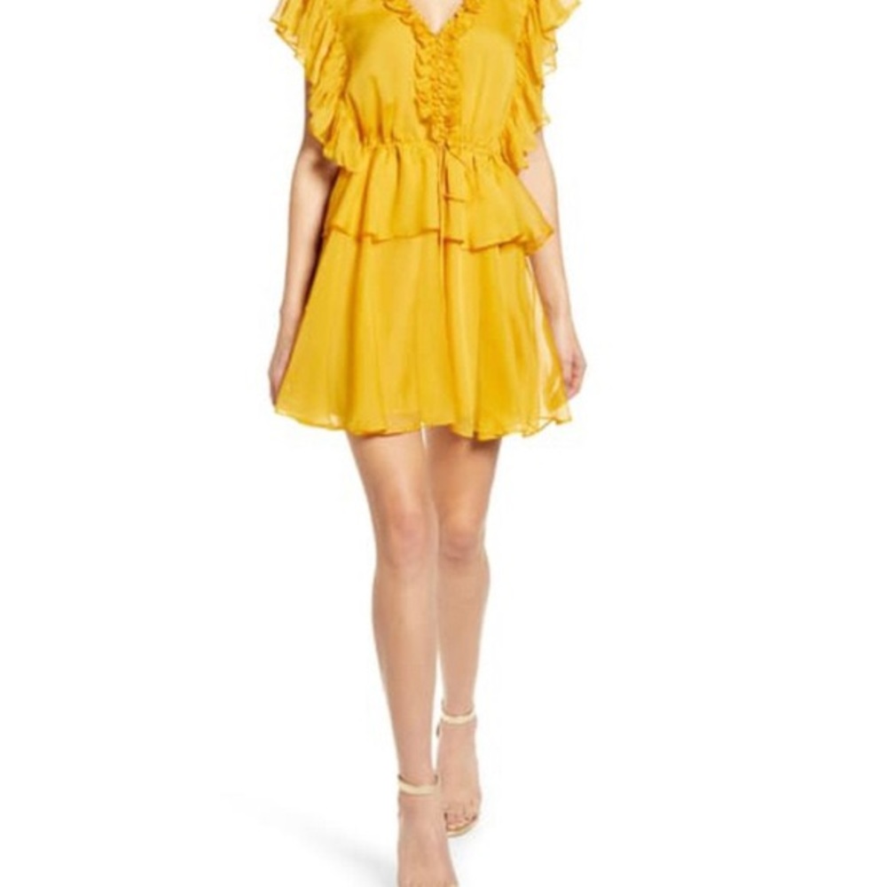 Endless Rose Ruffle Dress - Picture 3 of 5